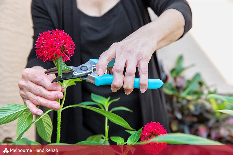 Arthritic seniors hand cutting flowers.