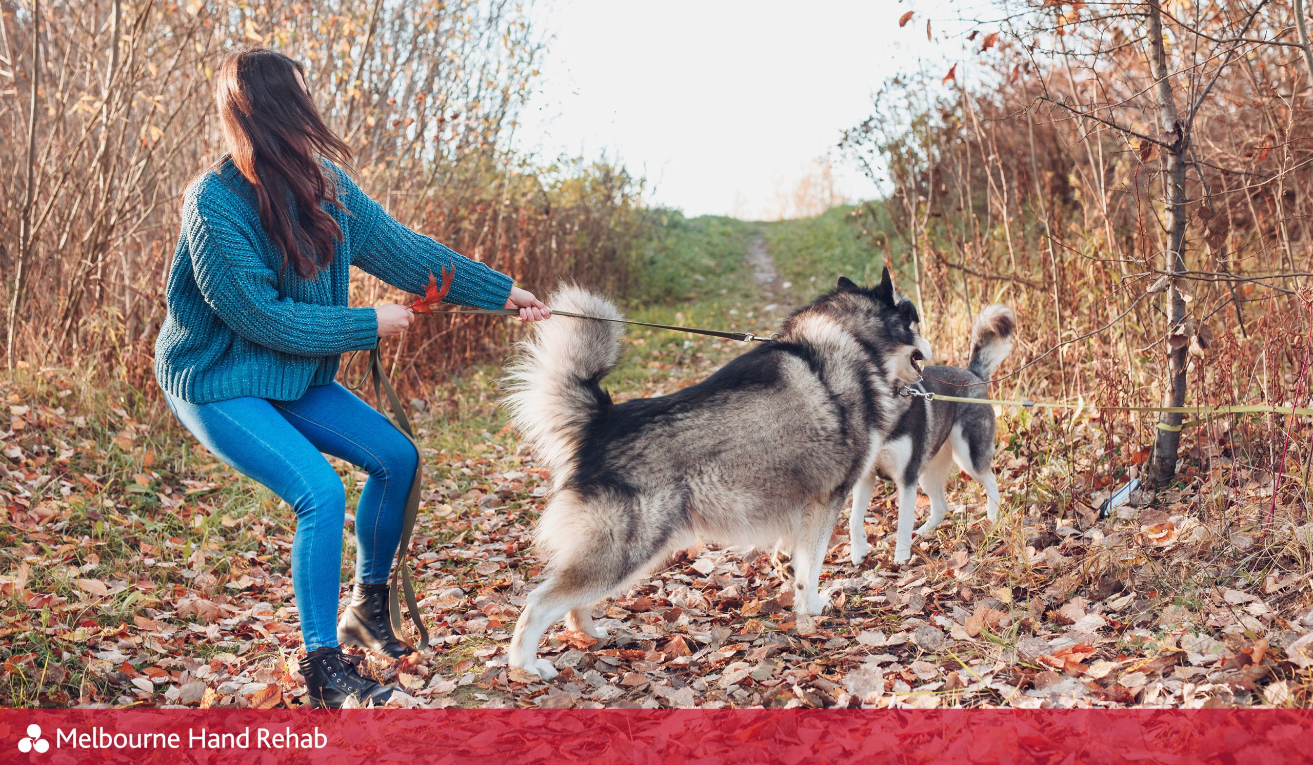 Woman struggling to control dog on leash