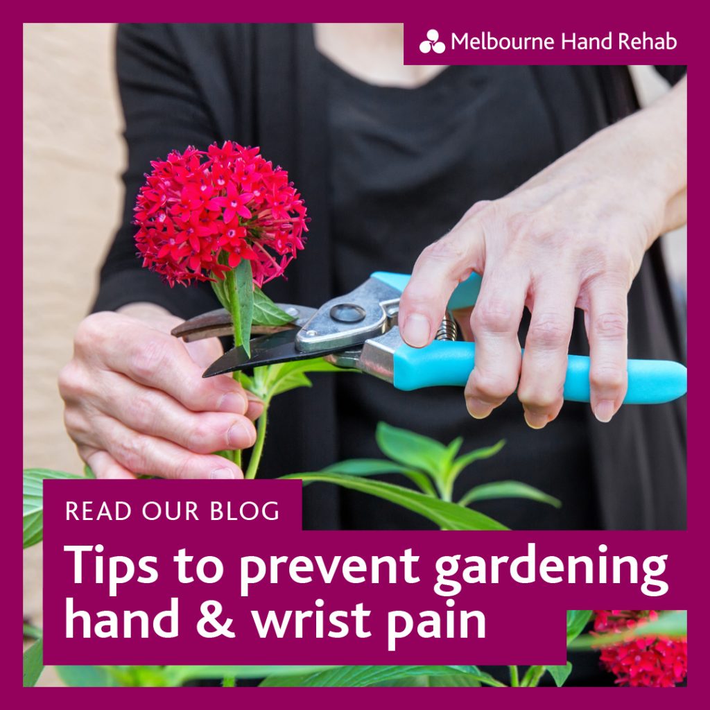 Image of woman cutting red flowers with gardening sheets for blog article 'Tips to prevent gardening hand & wrist pain'