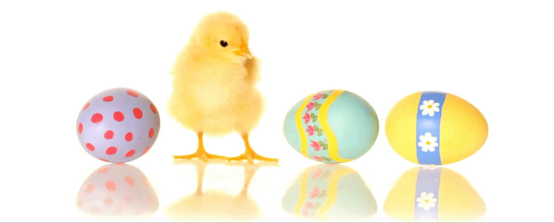 Cute fluffy chick with hand painted eggs